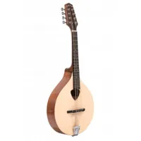 mandoline alto irlandaise traditionnelle avec tui